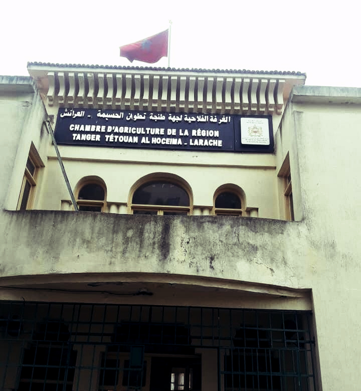 التجمع الوطني للأحرار يترأس الغرفة الفلاحية لجهة طنجة-تطوان-الحسيمة.