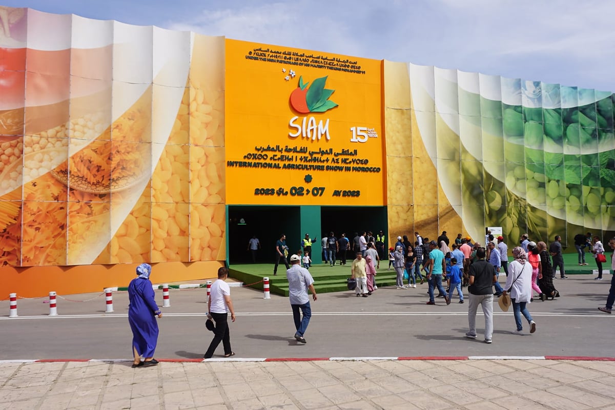 صديقي يشرف على توزيع الجوائز على الفائزين في مباريات أحسن رؤوس الماشية بالملتقى الدولي للفلاحة