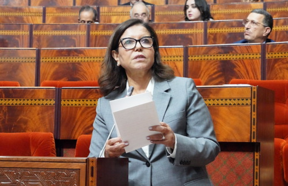 الدريوش: الوزارة عملت على إنجاز برنامج طموح لدعم قرى الصيد ونقط التفريغ المجهزة