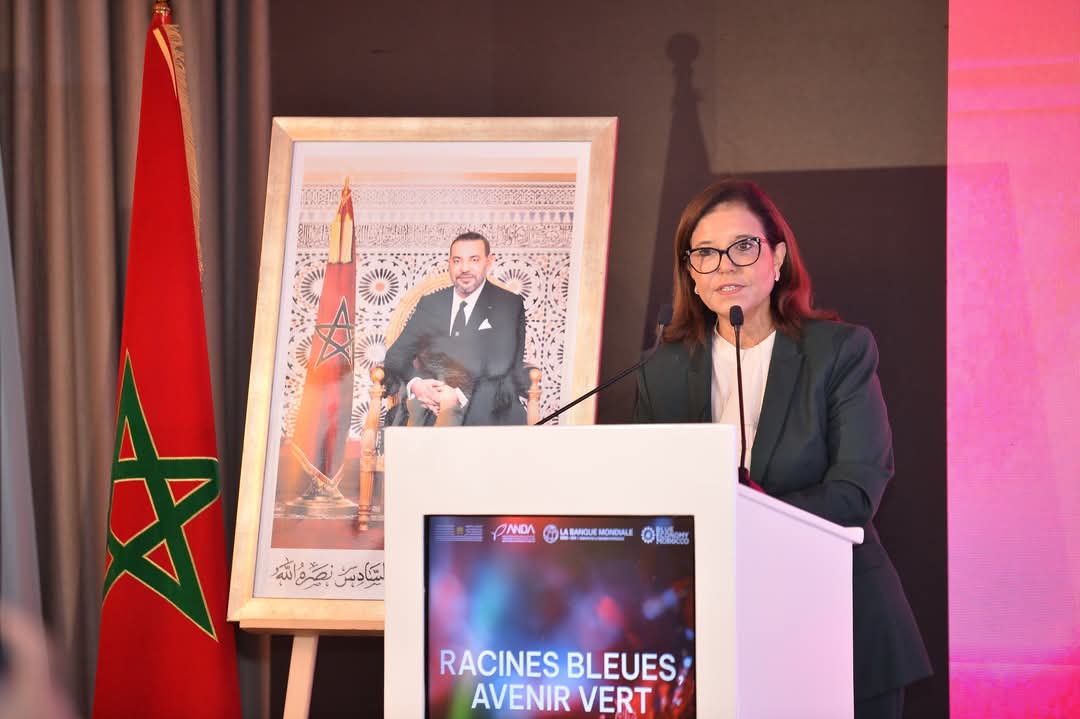 الدريوش تترأس أشغال الحوار الوطني حول تنمية وتثمين الطحالب البحرية