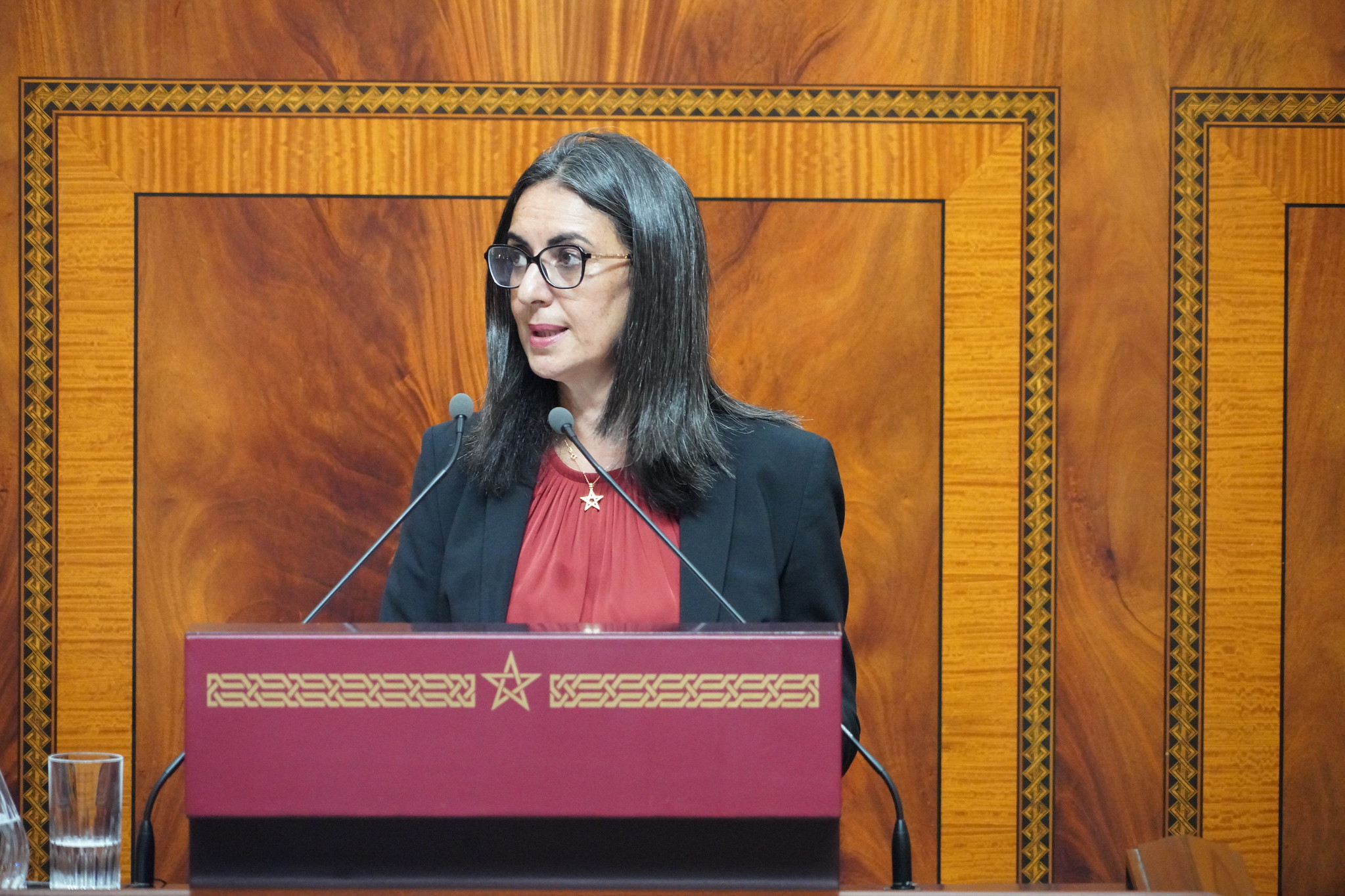 فتاح: مشروع قانون المالية لـ2026 ينص على إحداث 36 ألفا و895 منصبا ماليا جديدا