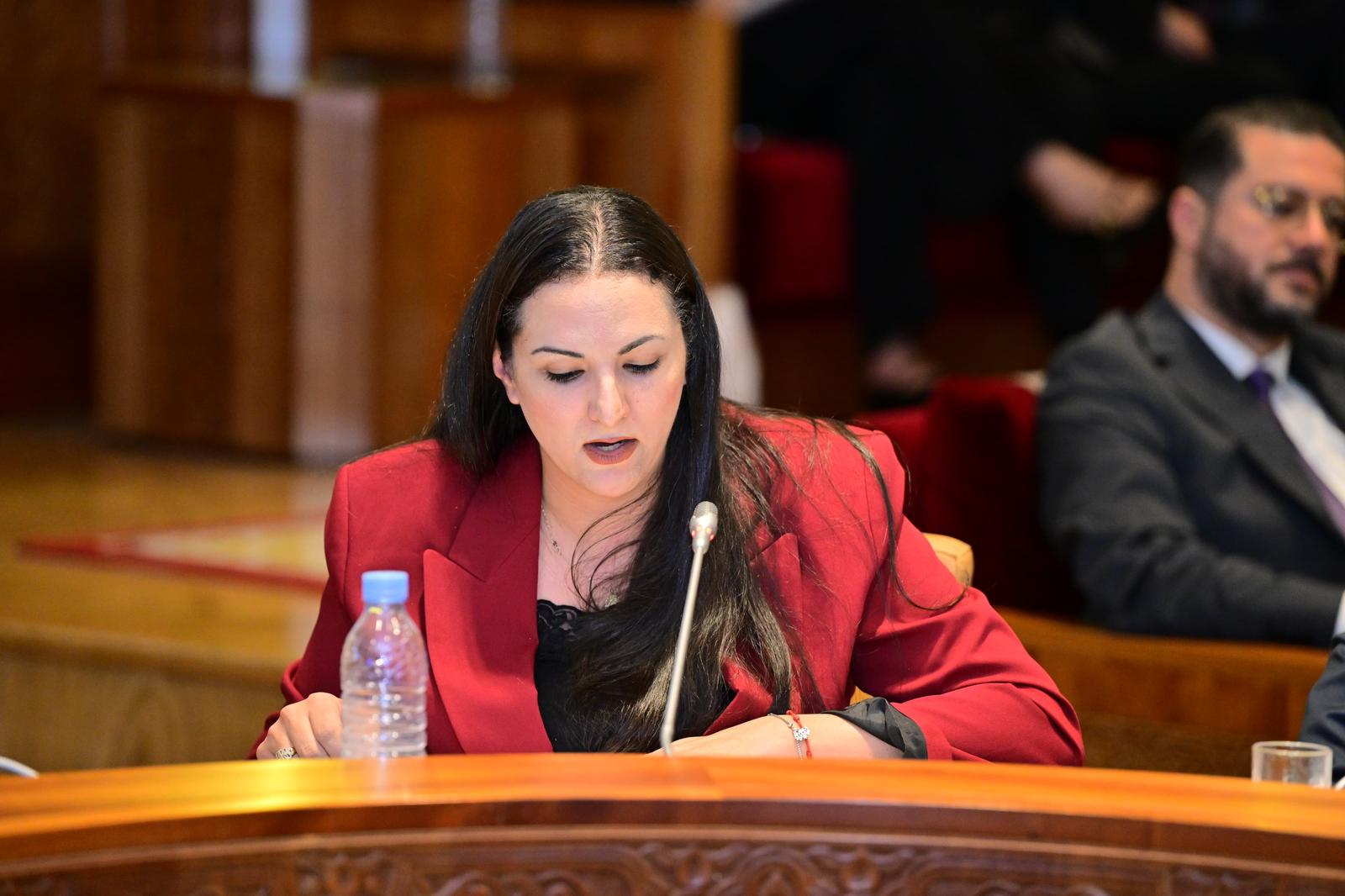 الغالي تنوه بالقرار الأممي حول مغربية الصحراء وتبرز أهمية الجالية المغربية كرافعة للتنمية