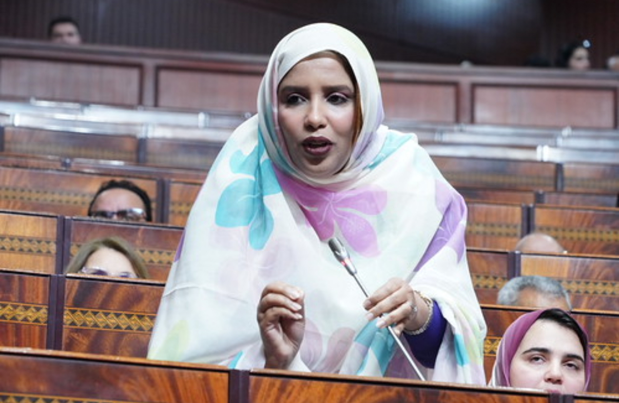 داهي تدعو إلى تحسين الرقمنة لتسهيل ولوج المواطنين إلى الخدمات العمومية